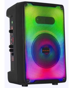 Cassa acustica portatile 8" 20W Luce LED Bluetooth/Radio/USB KOLAV-J810 