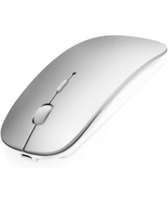 Gray wireless mouse with built-in rechargeable battery WB1720 
