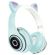 Wireless Bluetooth headphones with LED lighting support cat themed SD card various colors WB2025 